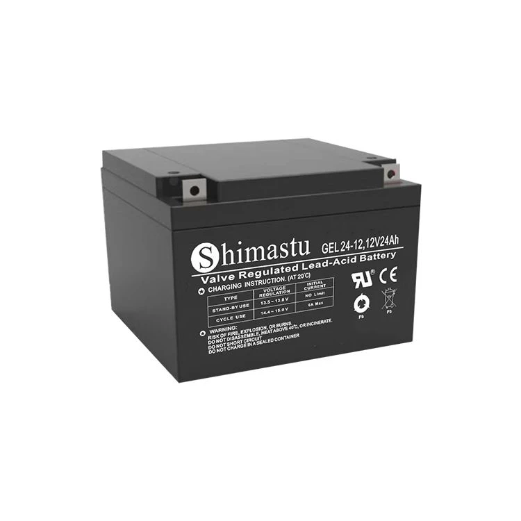 Pin GEL 12V 24Ah