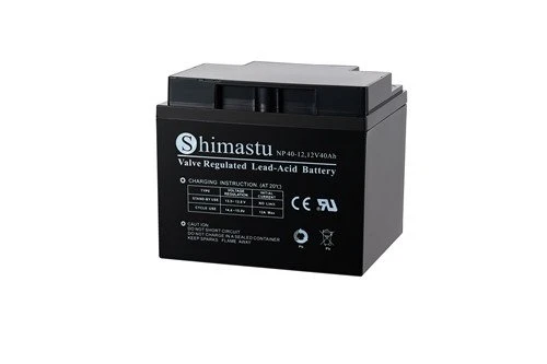 Pin 12V 40Ah SLA