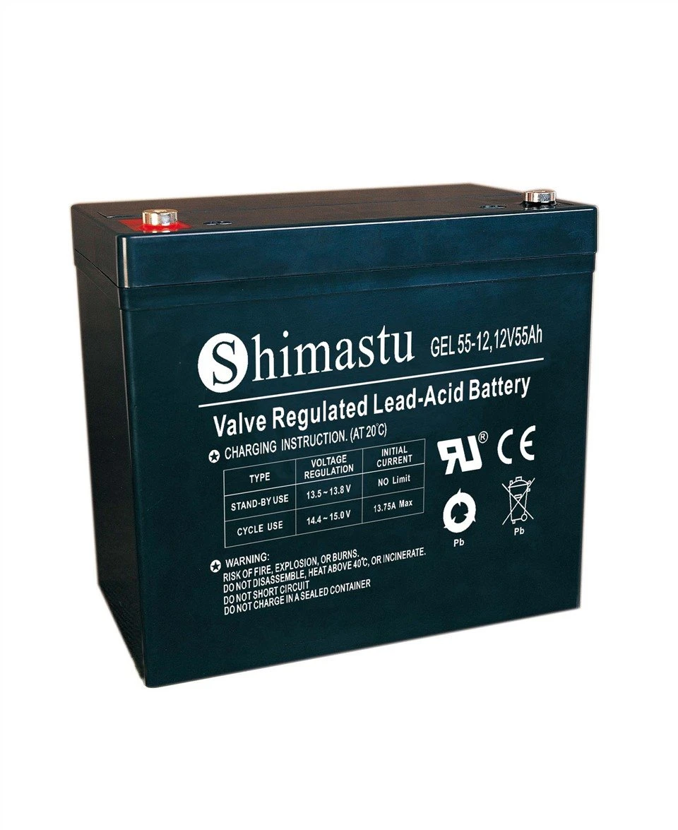 Pin GEL 12V 55Ah
