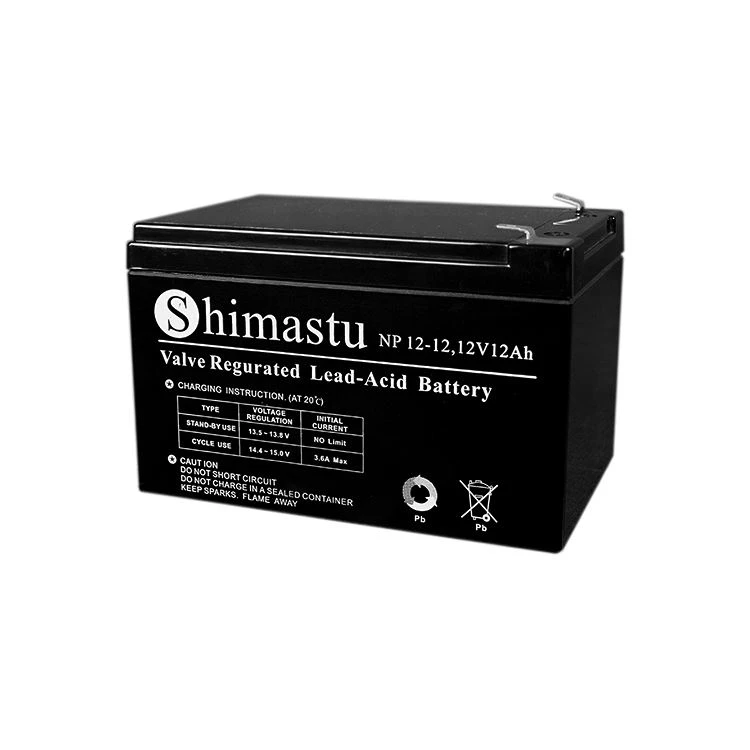 pin khẩn cấp 12 volt