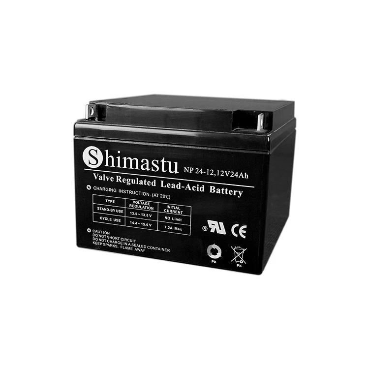 Pin axit chì xe điện