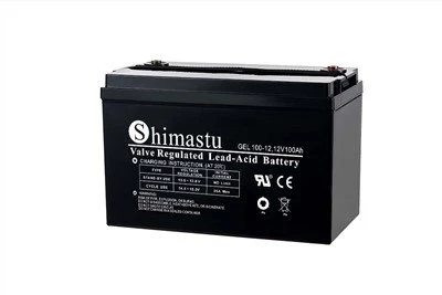 Pin 12V100Ah GEL