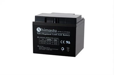 Pin 12V 40Ah SLA