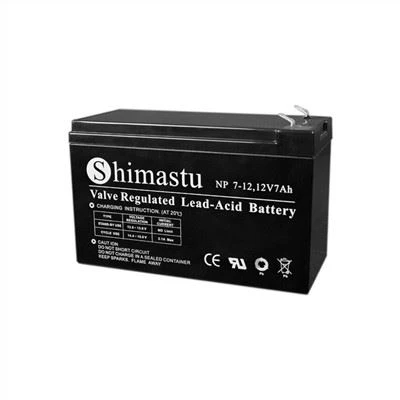 Pin báo động 12V7Ah