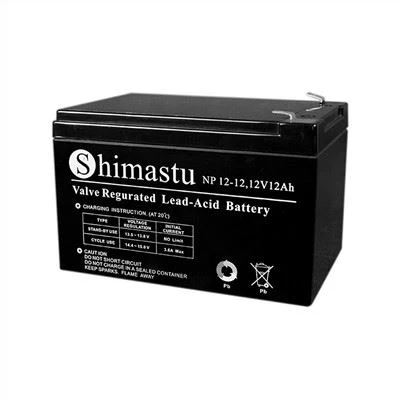 Ắc quy axit chì kín 12V12Ah