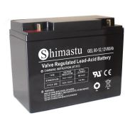 PIN GEL 12V60AH