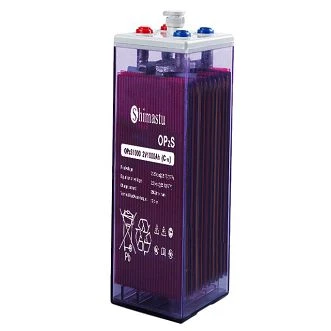 Pin hình ống OPzS 1000